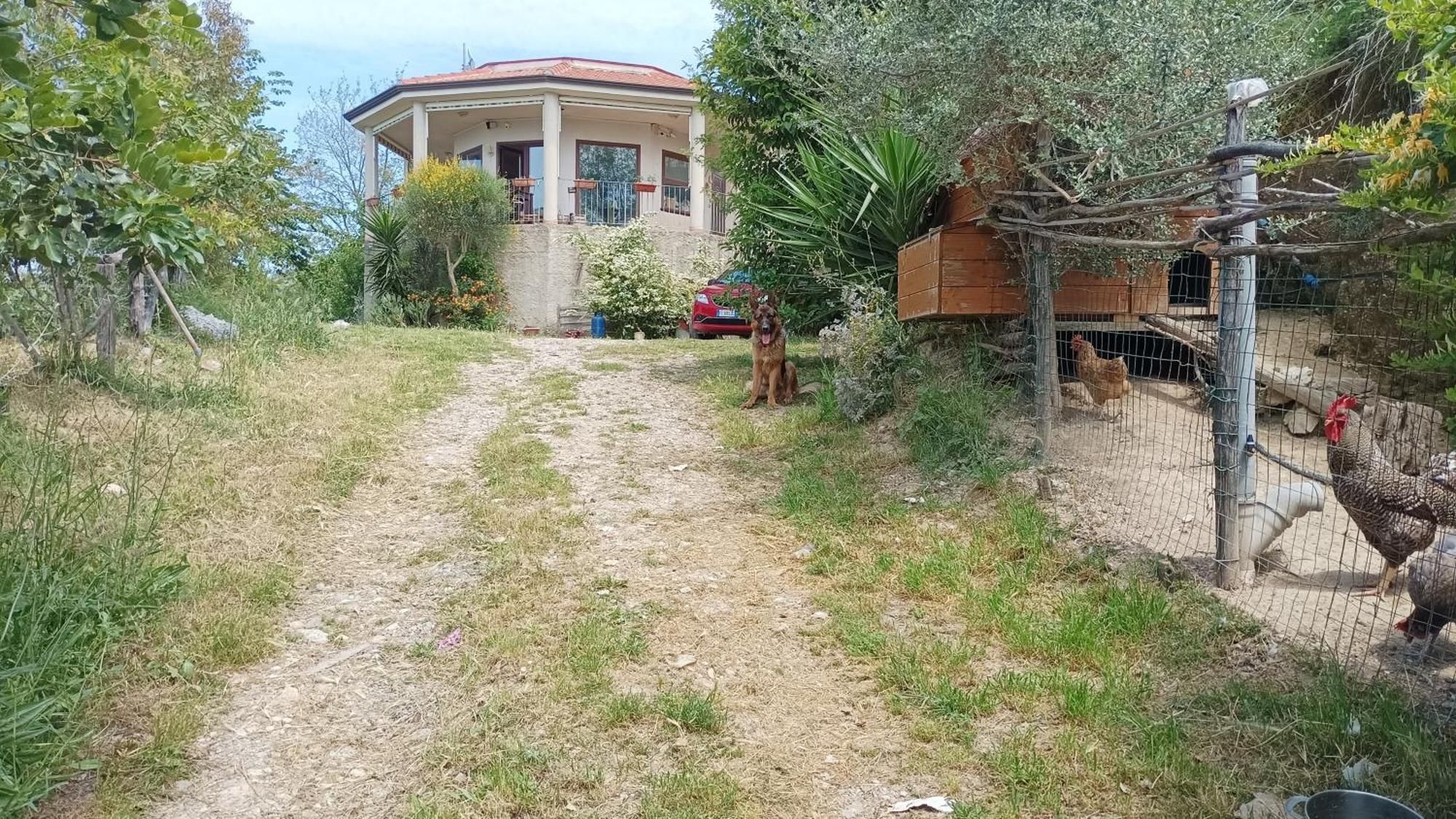 Hotel Palapico à Bonifati Extérieur photo