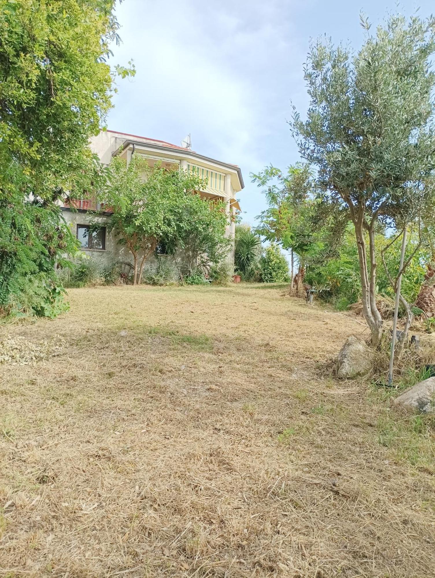 Hotel Palapico à Bonifati Extérieur photo
